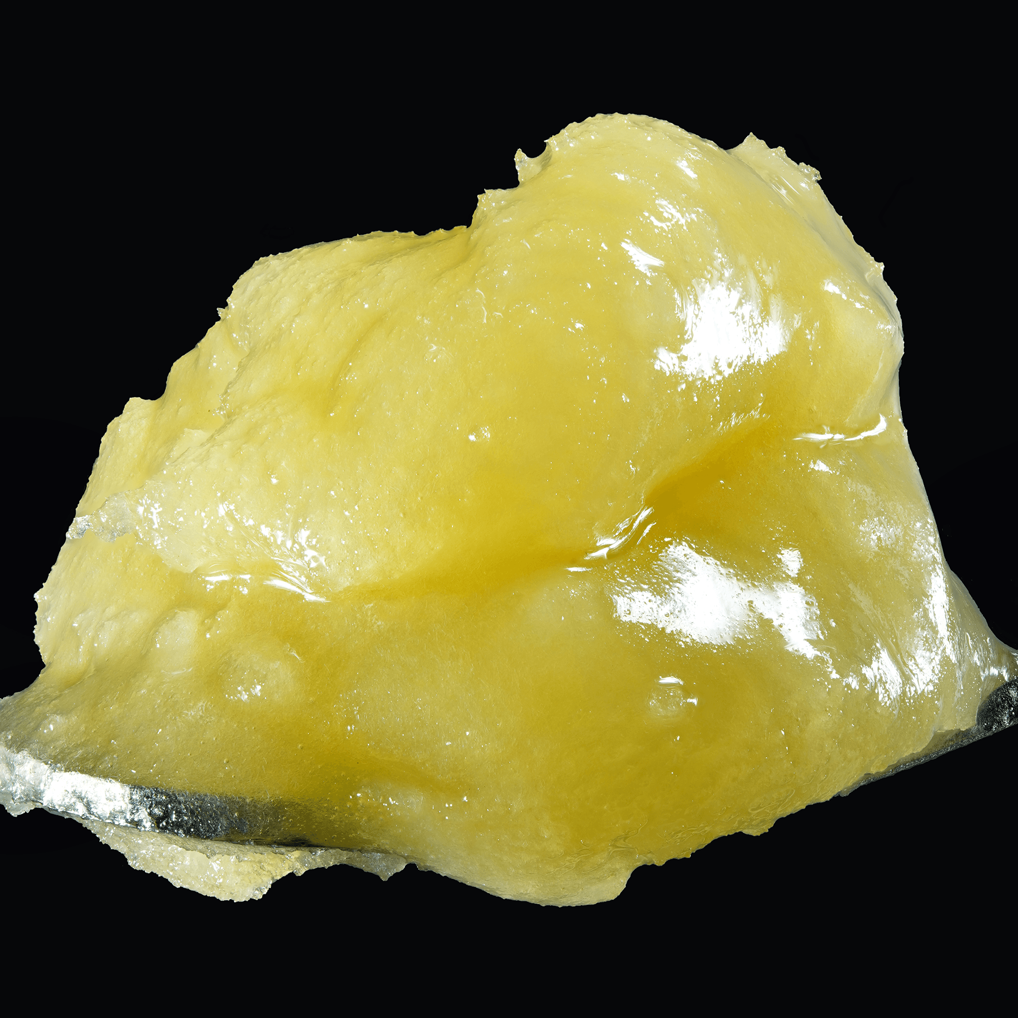 Wojo Mints | Premium Live Rosin 1G