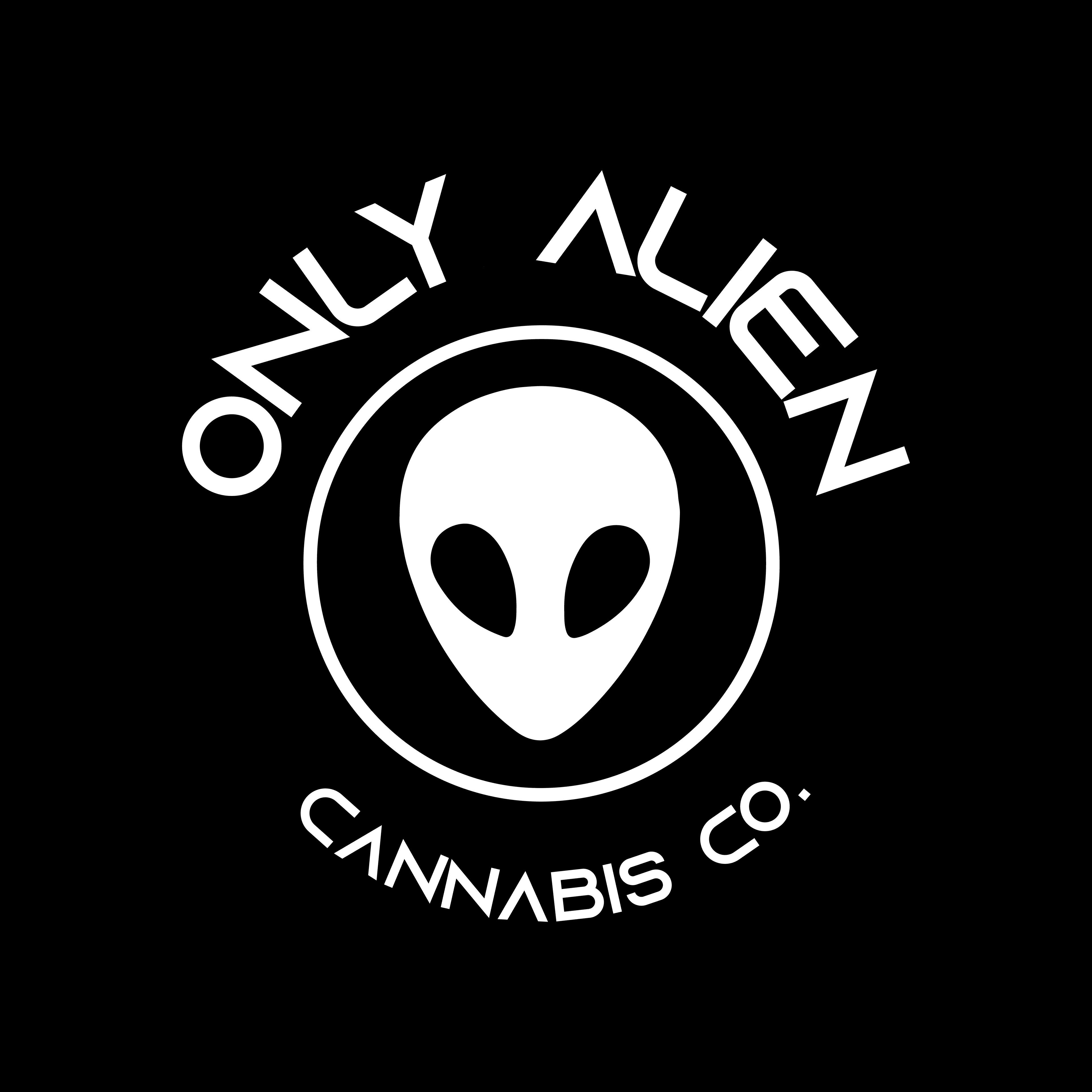 Only Alien | Circle Logo Sticker